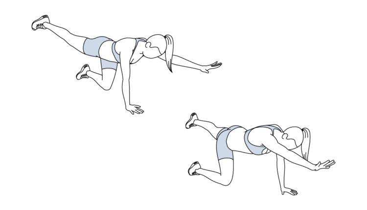 حرکت سگ پرنده