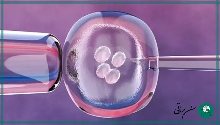 عکس سلول های بنیادی جنینی