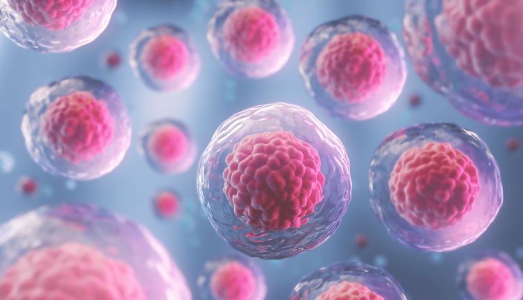 منبع تامین سلول بنیادی