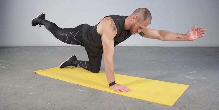 تمرین پرنده-سگ