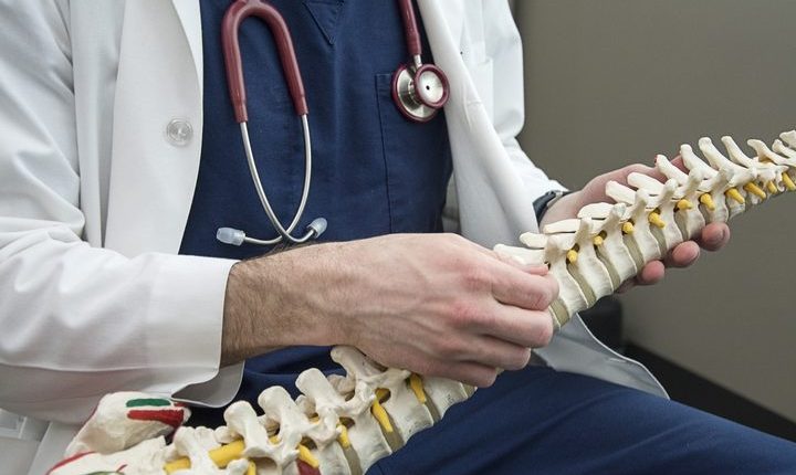 آناتومی ستون فقرات