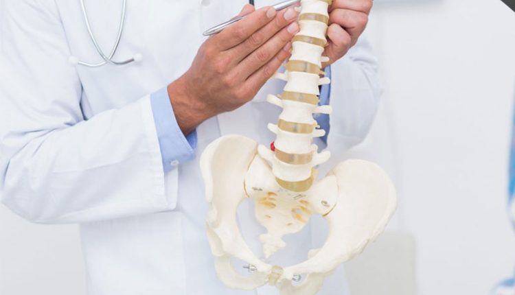 آناتومی ستون فقرات