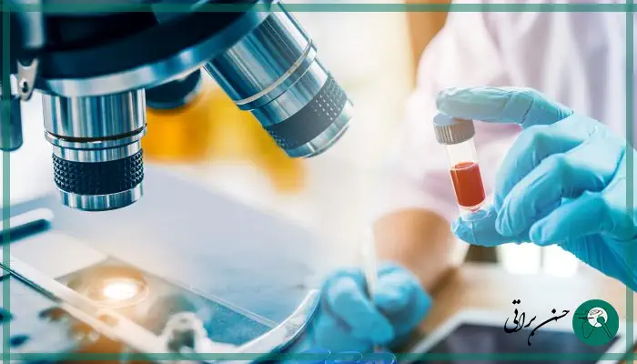 تفاوت سلول بنیادی جنینی و بالغ 